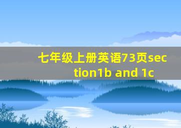 七年级上册英语73页section1b and 1c